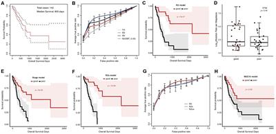 A Multi-Gene Model Effectively Predicts the Overall Prognosis of Stomach Adenocarcinomas With Large Genetic Heterogeneity Using Somatic Mutation Features